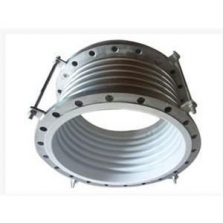 Stainless Steel Metallic Bellows Hose with PTFE Inner